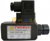 DNB-250K-06i