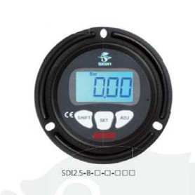 2.5" 数显表